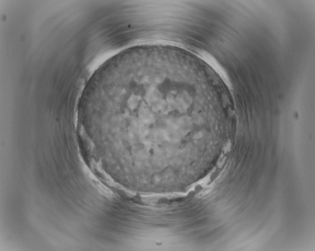 X0000088591388200706081317