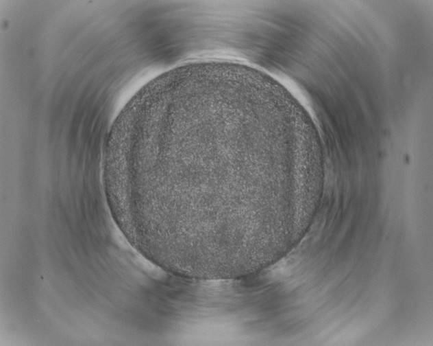 X0000088591390200706081317