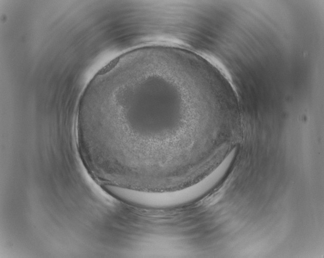 X0000088591391200706081317