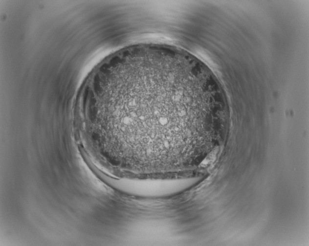 X0000088591392200706081317