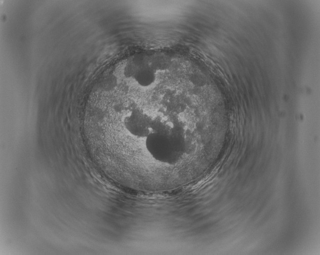 X0000088591393200706081316