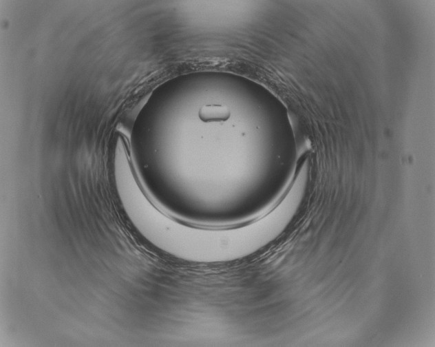 X0000088591394200706081316