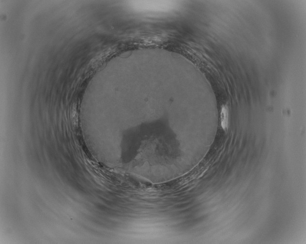 X0000088591395200706081316