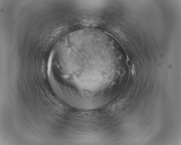 X0000088591396200706081316