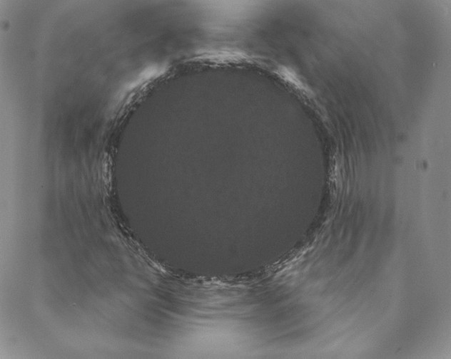 X0000088591398200706081316