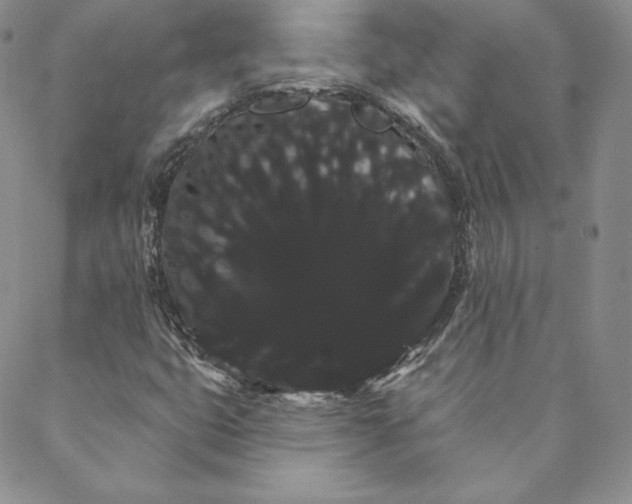 X0000088591399200706081316