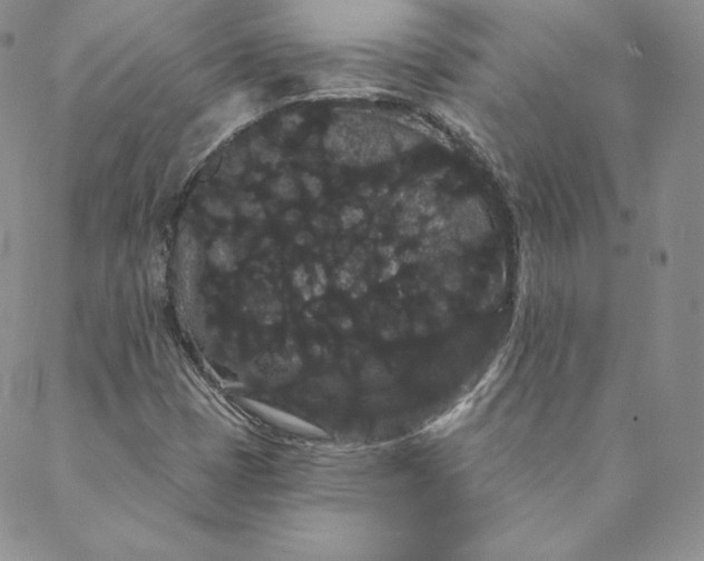 X0000088591401200706081316