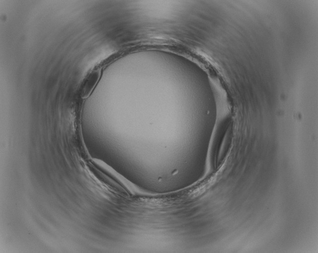 X0000088591402200706081316