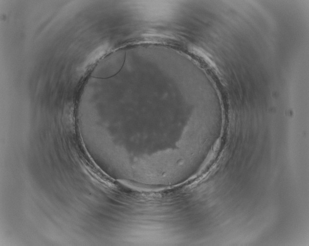 X0000088591403200706081316