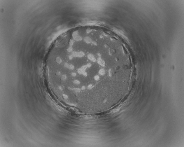 X0000088591404200706081316