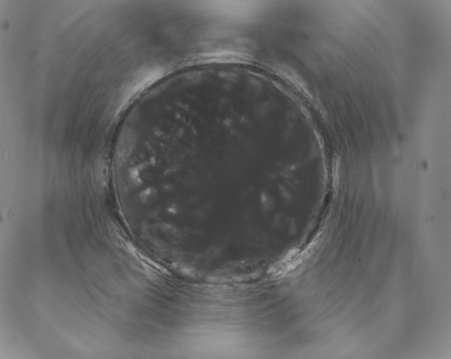 X0000088591405200706081316