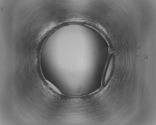 X0000088591406200706081316