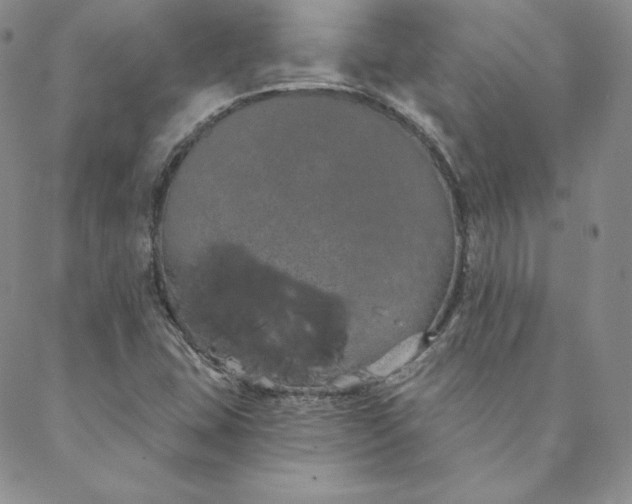 X0000088591407200706081316