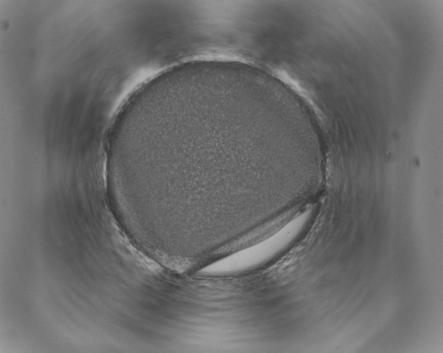 X0000088591408200706081316