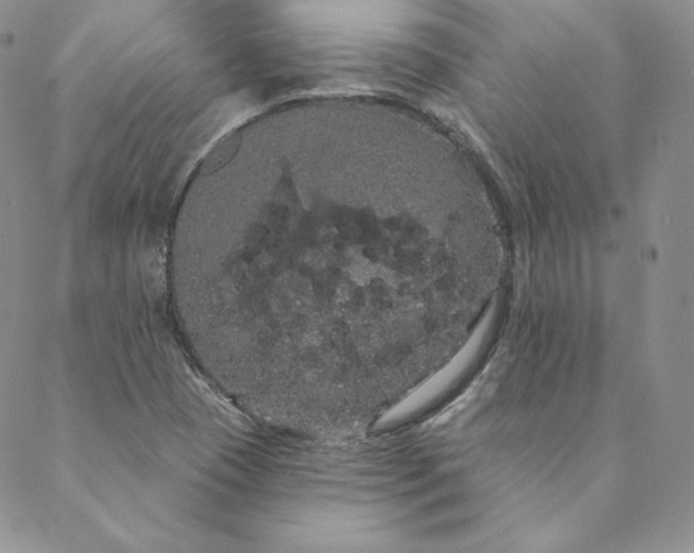 X0000088591409200706081316