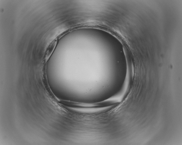 X0000088591410200706081316