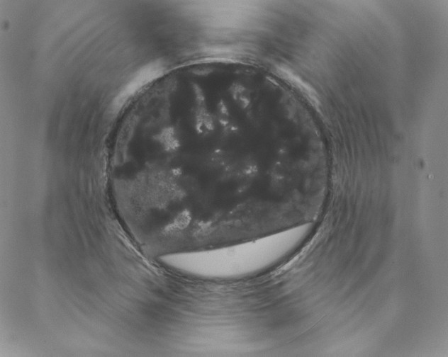 X0000088591411200706081316