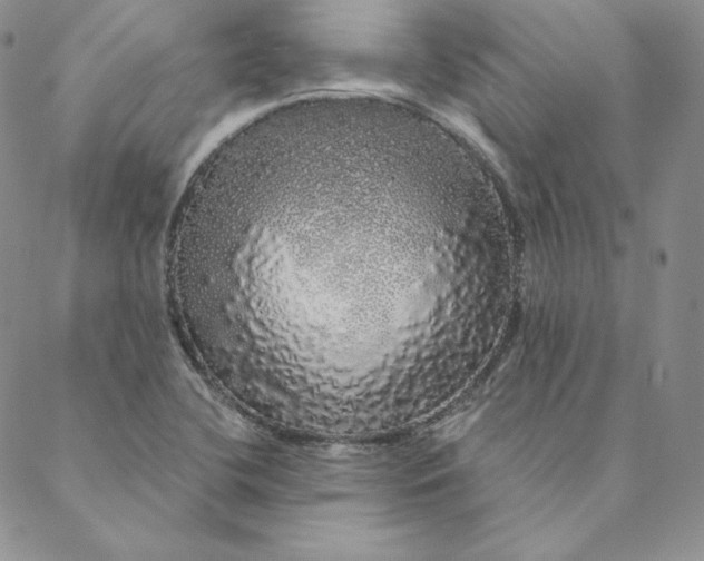 X0000088591412200706081316