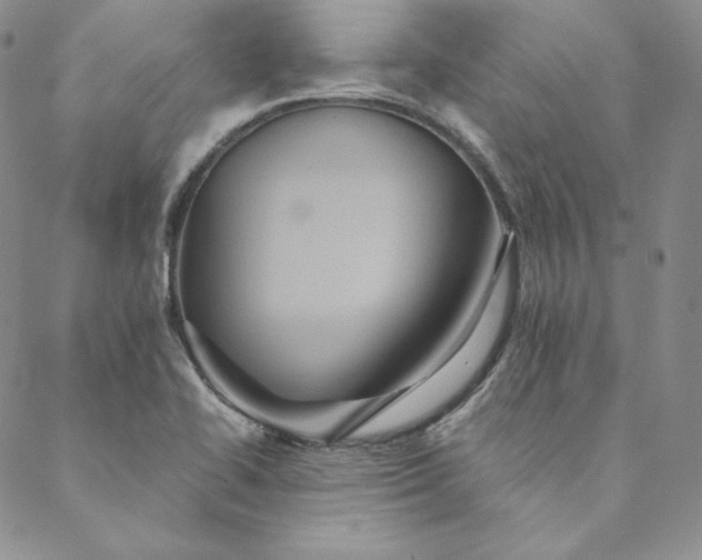 X0000088591414200706081316