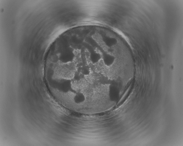 X0000088591415200706081316