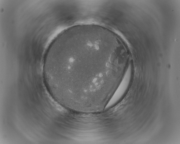 X0000088591416200706081316