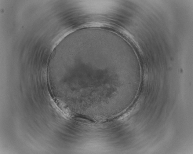 X0000088591417200706081316