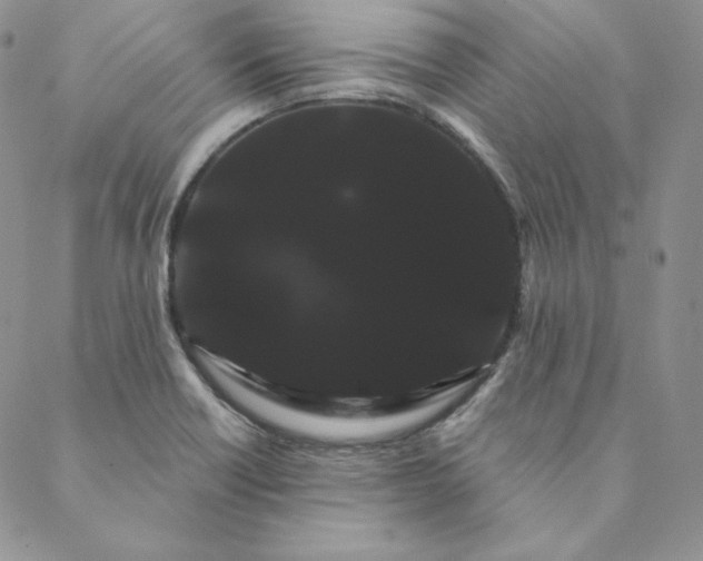 X0000088591418200706081316