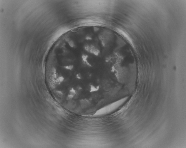 X0000088591419200706081316