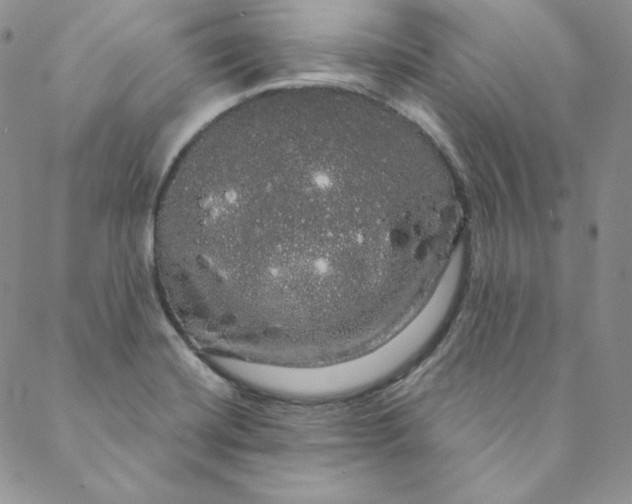 X0000088591420200706081316