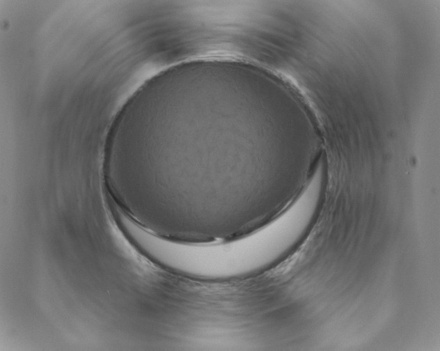 X0000088591422200706081316