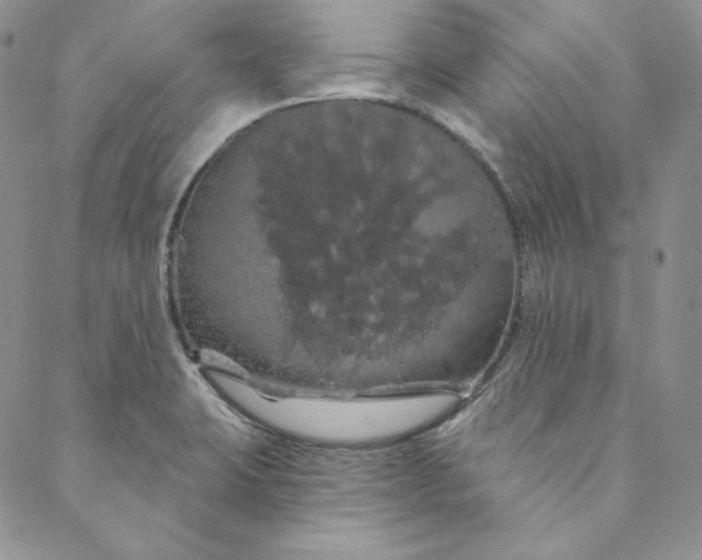 X0000088591423200706081316