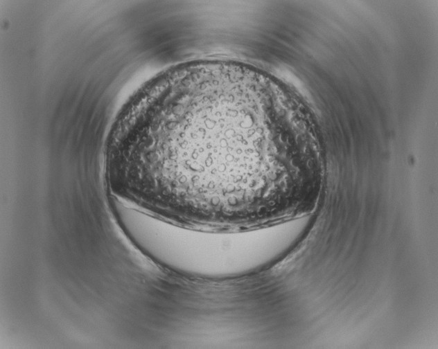 X0000088591424200706081317