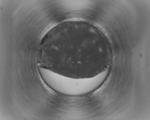 X0000088591425200706081317