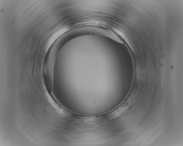 X0000088591426200706081317