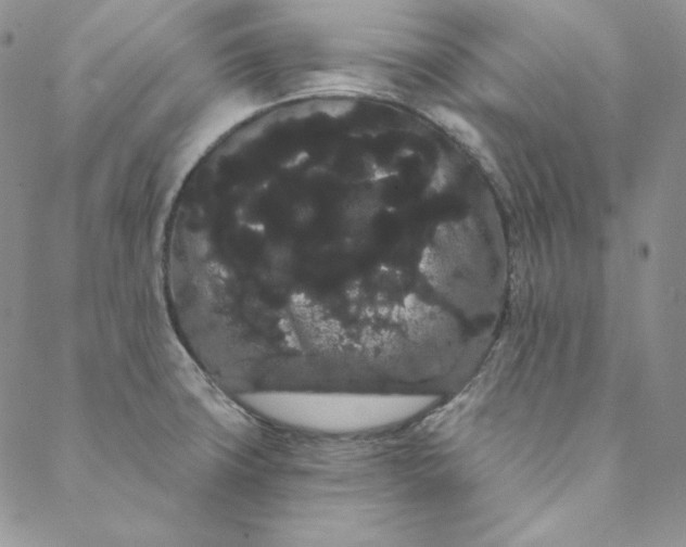 X0000088591427200706081317