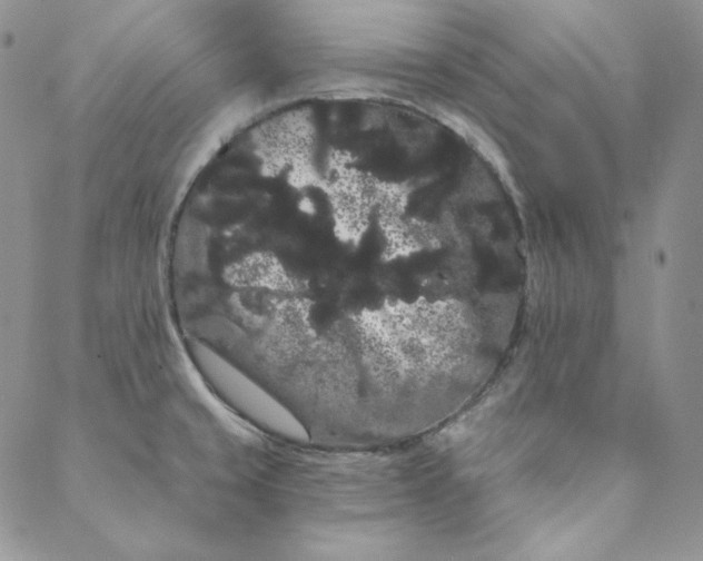 X0000088591429200706081317