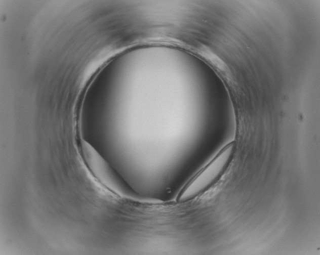 X0000088591430200706081317