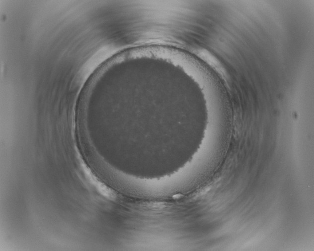 X0000088591431200706081317