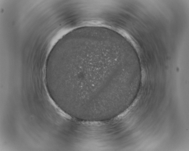 X0000088591432200706081317