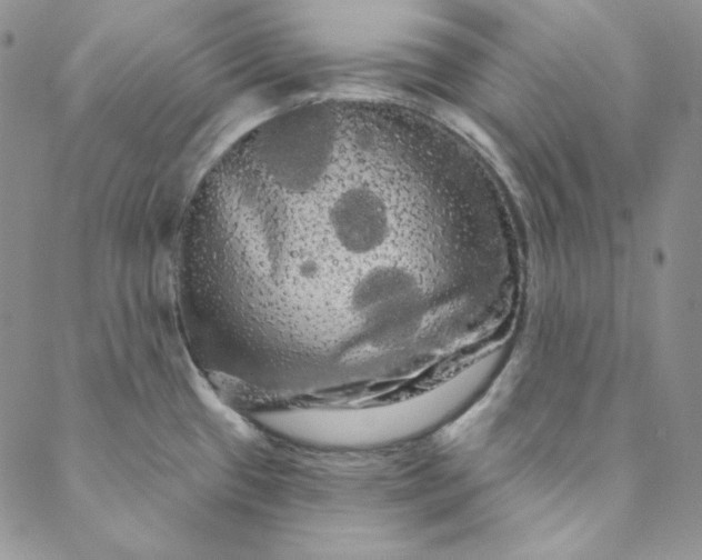 X0000088591433200706081317