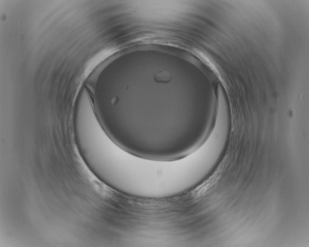 X0000088591434200706081317