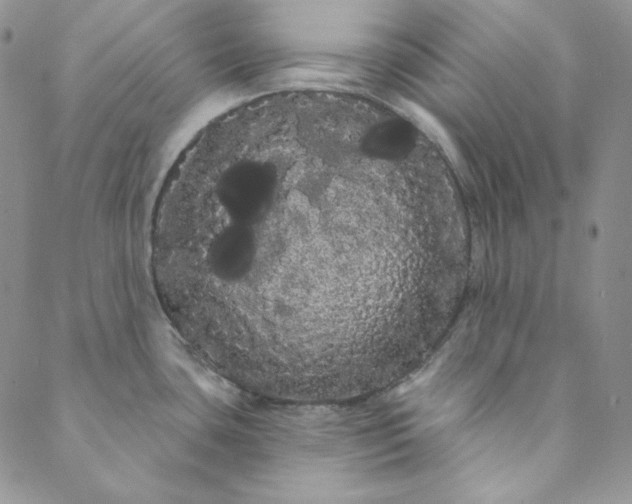 X0000088591435200706081317