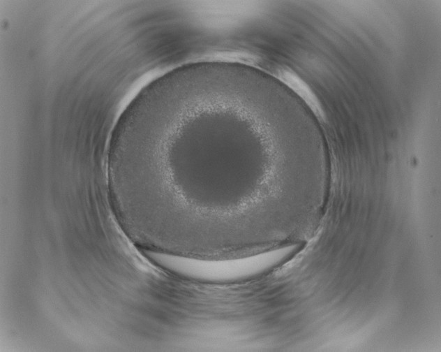 X0000088591436200706081317