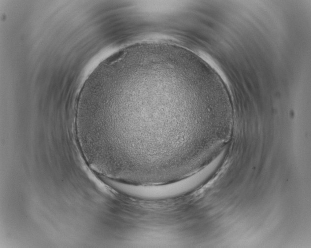 X0000088591437200706081317