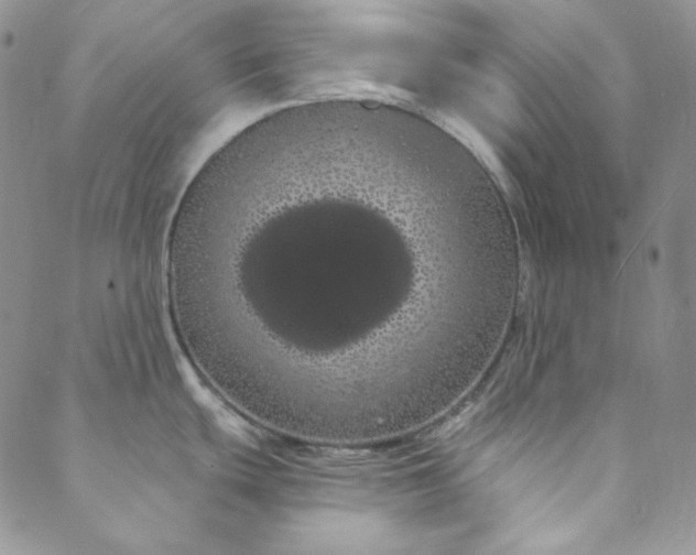 X0000088591439200706081317