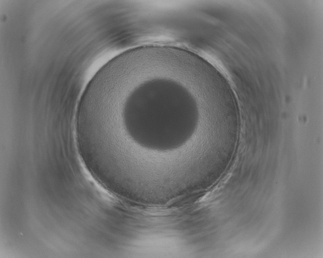 X0000088591440200706081317