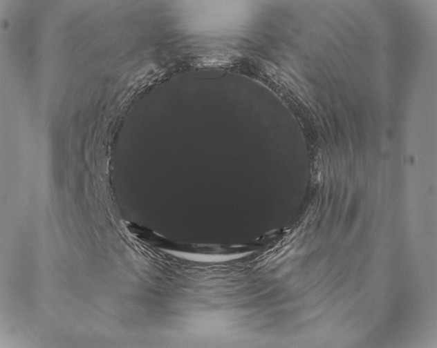 X0000088591441200706081316