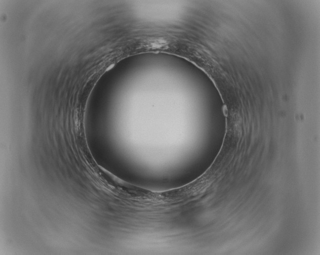 X0000088591442200706081316