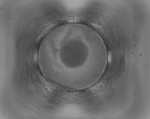 X0000088591444200706081316