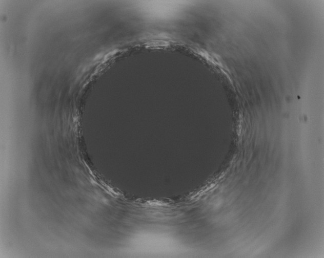 X0000088591445200706081316